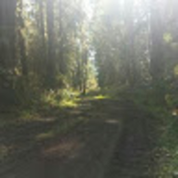 Meet your Posher, Sarah - Picture 1 of 1